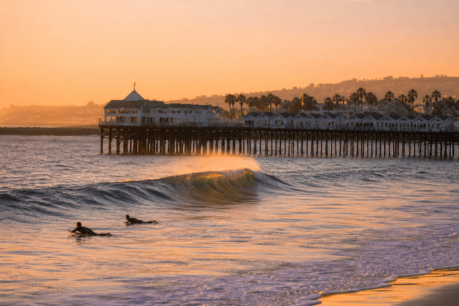 Paddle Out at Crystal Pier